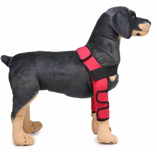 Knäskydd för hundar, hundbensskydd, hundbensskydd, husdjursskydd, hundkirurgisk skadeskydd (röd L)