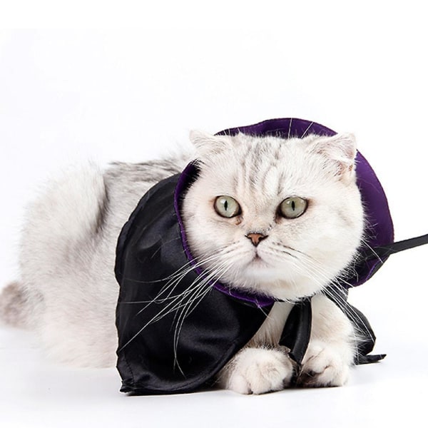 Husdjurshatt Cape Katt Hund Cape Husdjursfestival Festklänning