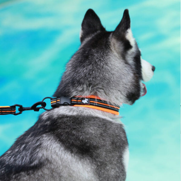 Justerbart reflekterende hundehalsbånd Nylon kæledyrshalsbånd polstret åndbart anti-choke anti-gnidningsnet med ring, grå, M