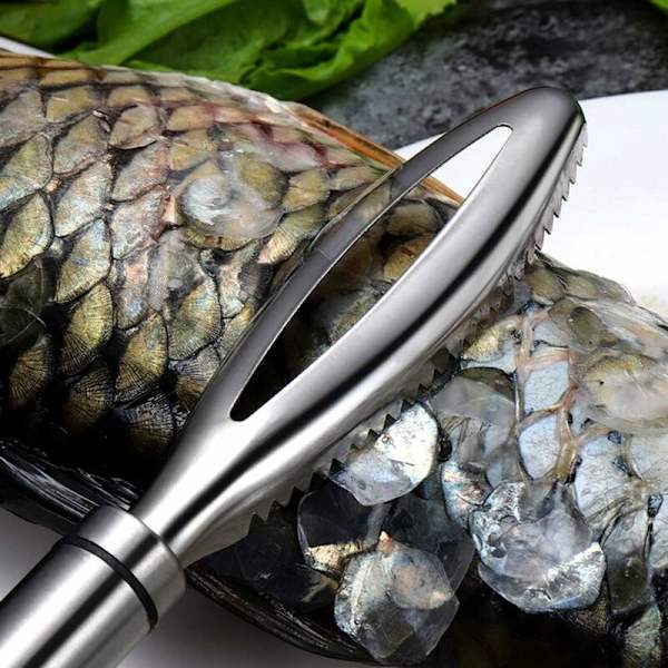 Fiskvåg 9,8" x 1,25" Fiskvåg i rostfritt stål Professionell fiskskrapa köksredskap