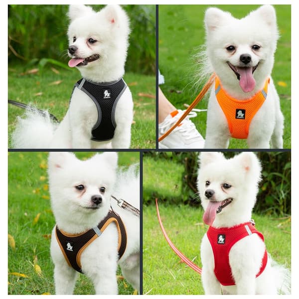 Hunddragrep sjö, orange husdjursutrustning L