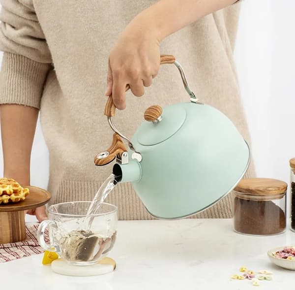 2,5L Vattenkokare i Rostfritt Stål med Visselpipa - Grön