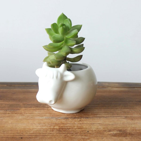 Söta djurformade keramiska blomkrukor Suckulent planter Kaktusväxt Blomkrukor（Boskap）