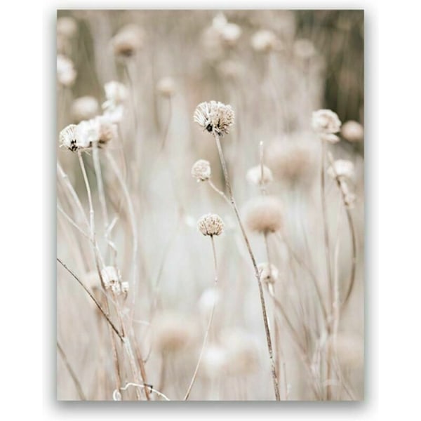 Tavlor på canvas Pampasgräs Växter Naturlandskap Torkat gräs Modern Boho Botanik Affisch Galleribilder 20x30cm (8x12 tum) x 3 Oinramade