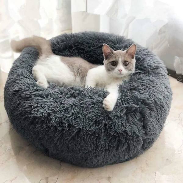 Hundbädd Husdjursbädd Kattbädd Hundsoffa Katt Soffa Fluffy, Mjuk och Tvättbar Kudde för Hundar Katter (70cm, Mörkgrå)