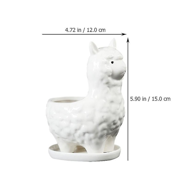 2 st Alpacka Blomkruka