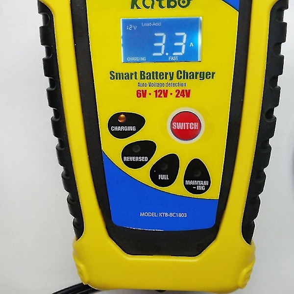 1 st Snabb Batteriladdare