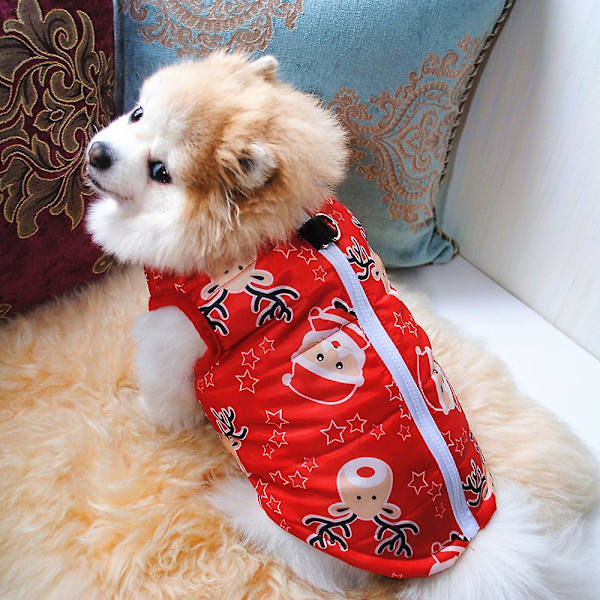 2 Pet Coats Vinter Pet Valp Bomulls Vadderad Jacka Pet Vinter Varm Jacka