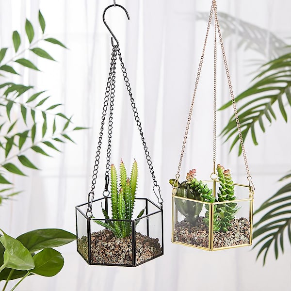 Modern Hängande Glas Terrarium Geometrisk Hexagonformad Sukkulenter Luftväxt Hållare Behållare Väggplanter Blomkruka
