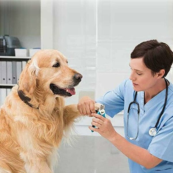 Hunde- og kattekloklippere, kloklippere med neglefil, professionel og sikker hunde-negleklipperpleje, sikker klopleje med afstandsstykker, sikkerhedsbeskyttelse
