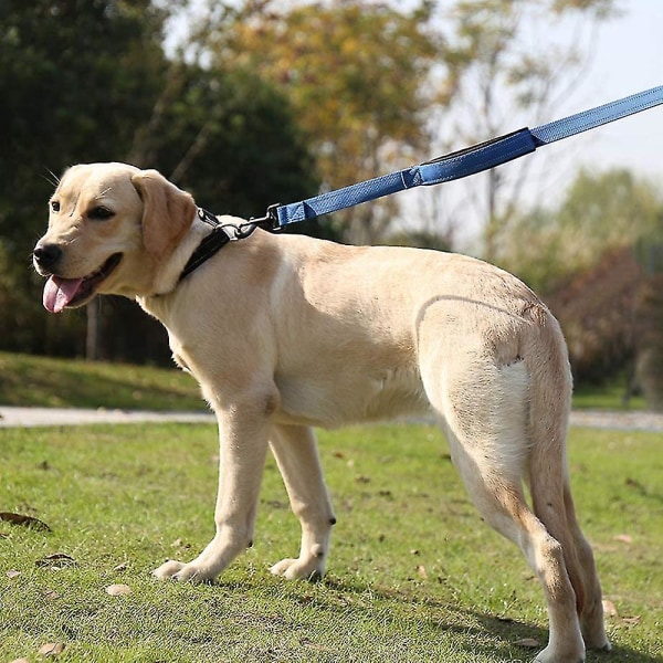 Hundleksak Hundkoppel 1,5 m Lång Vadderad Två Handtag Högpresterande Handtag Koppel 1 Blå