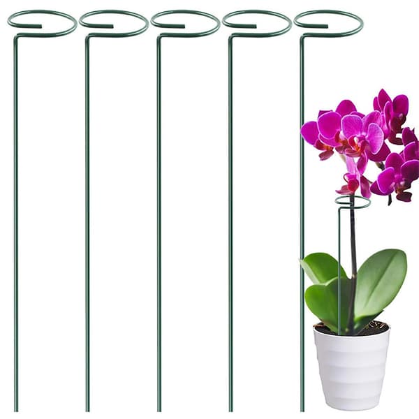 1 set robust växtstöd ring effektiv metall multi-use anti-sprickbildning växtstöd för hemmet