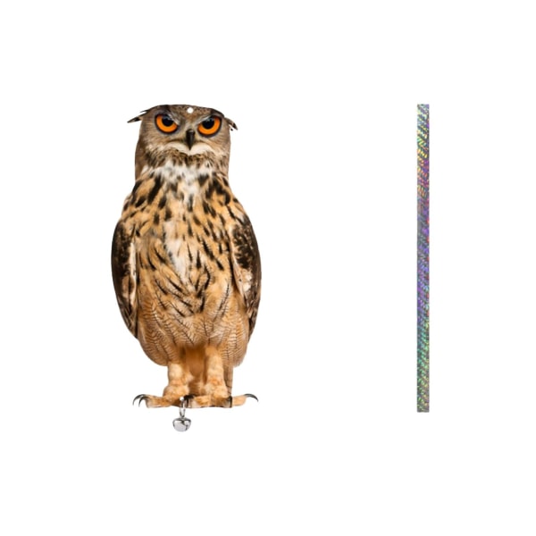 Fågelavvisande artefaktsimulering Uggla Laserreflekterande Dubbelsidig Fågelavstötande Ugglaträdgård Balkong TrädgårdsdekorationC