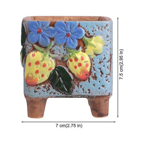 4 st Suckulent Blomkruka