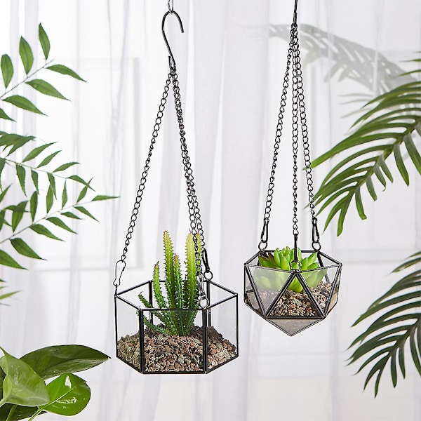 Modern Hängande Glas Terrarium Geometrisk Hexagonformad Sukkulenter Luftväxt Hållare Behållare Väggplanter Blomkruka
