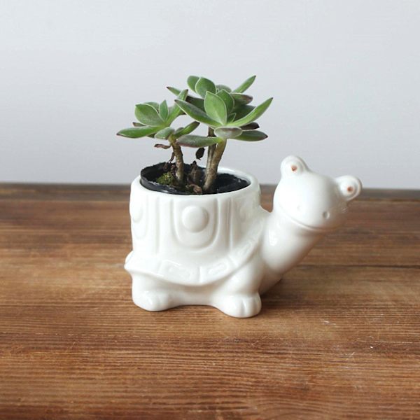 Söta djurformade keramiska blomkrukor Suckulent planter Kaktusväxt Blomkrukor（Boskap）