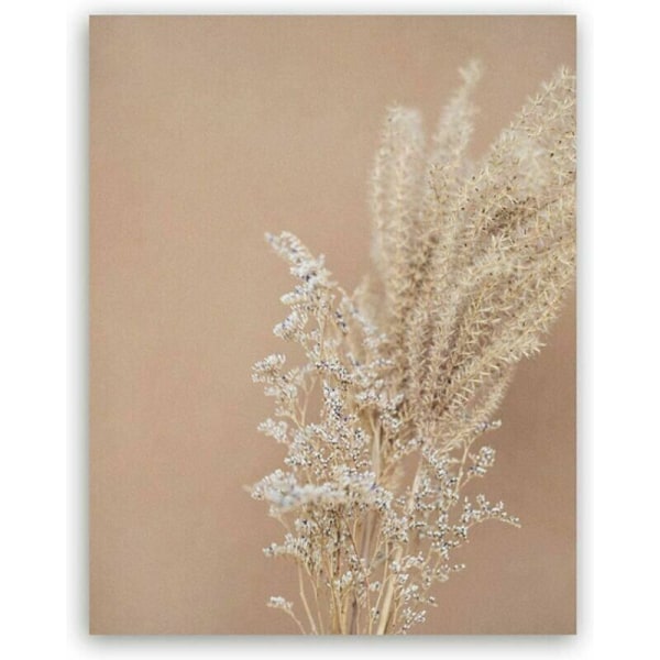 Tavlor på canvas Pampasgräs Växter Naturlandskap Torkat gräs Modern Boho Botanik Affisch Galleribilder 20x30cm (8x12 tum) x 3 Oinramade