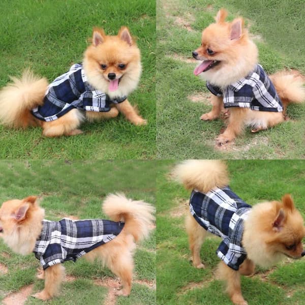Hundkläder Husdjur Casual Rock Pet Button Rutig Skjorta xl