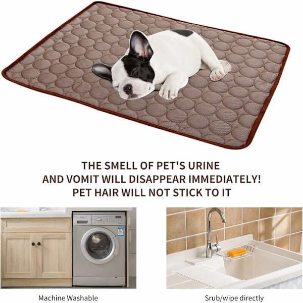 Cool Companion Pet Comfort Kølemåtte Sengemåtte til hunde og katte-M