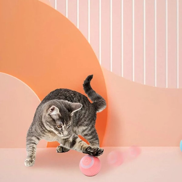 2x Smart Auto Rolling Cat Legetøj med Capnip Electric Interactive USB Cat Legetøj til indendørs legetræning 4,3 cm Pink/Blå