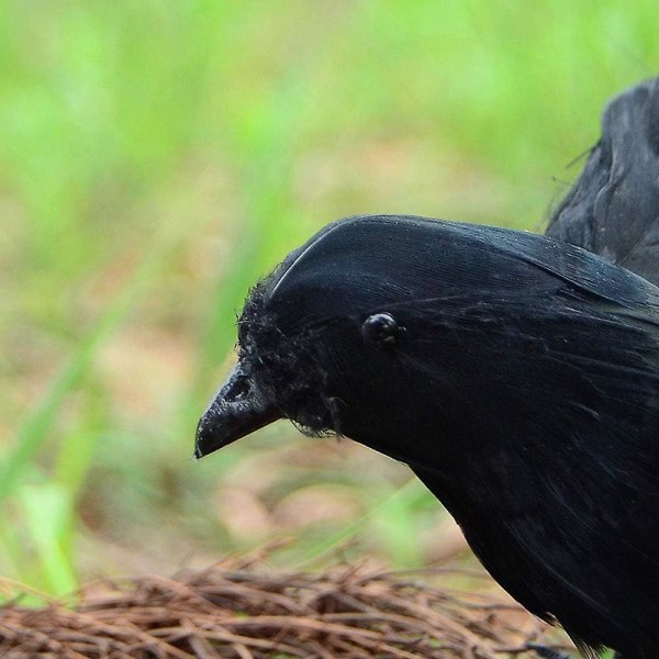 Black Halloween Raven - Handgjord realistisk reflekterande rekvisita för Halloween-festdekoration utomhus och inomhus