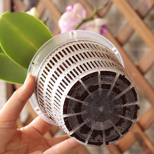 11cm/14cm Rotkontroll Transparent Blomkruka Phalaenopsis Orkidé Nötkreatur Växter med Stomatal Blomkruka Heminredning 1 Set (2st/set 11cm)