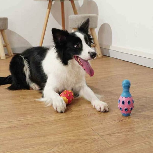Tuggsäker hundtugg i nötköttsmak, multifunktionellt husdjurspussel, läckande boll, bowlingboll, ljud