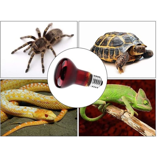 2 st Reptilvärmelampor, hållbar infraröd värmelampa Husdjursröd värmelampa för reptil- och amfibieödlasköldpadda 220-230v