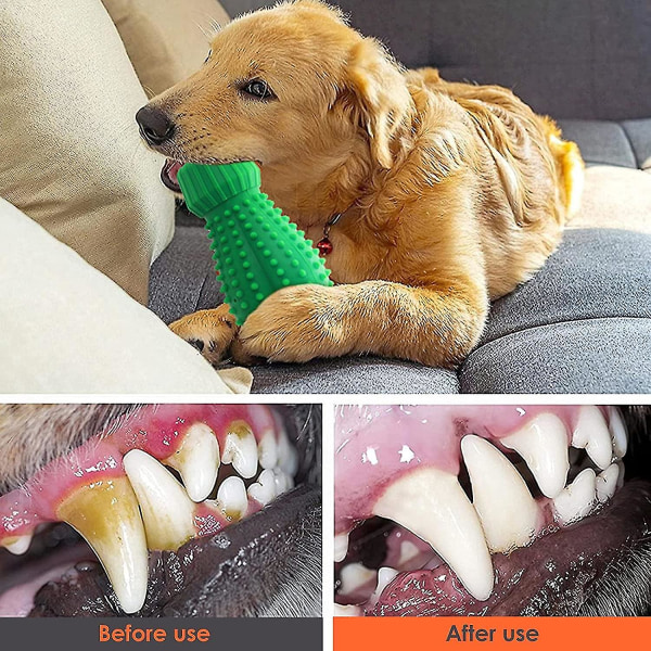 Hundtuggleksaker, tandgummi, hundleksaksgodis, bendistributör av resistenta gummigodis - för medelstor hund