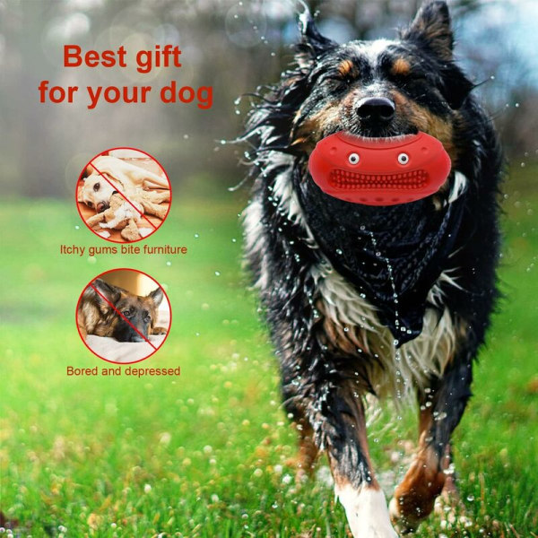 Oförstörbar hundleksak för stora hundar, hundtuggleksak, praktiskt taget oförstörbar gummitandborsteleksak för medelstora och stora husdjur