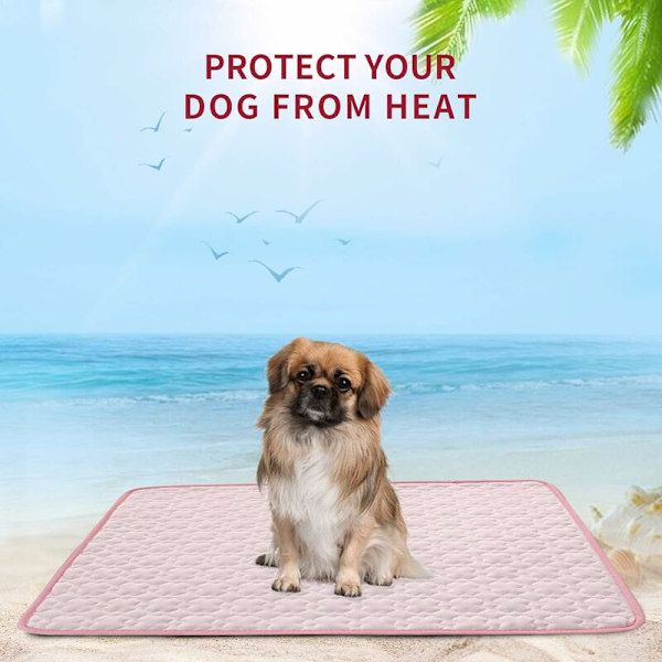 Cool Companion Pet Comfort Cooling Mat Bed Sleeping Mat for Dogs and Cats (L, Pink)