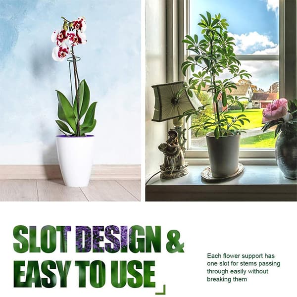 1 set robust växtstöd ring effektiv metall multi-use anti-sprickbildning växtstöd för hemmet