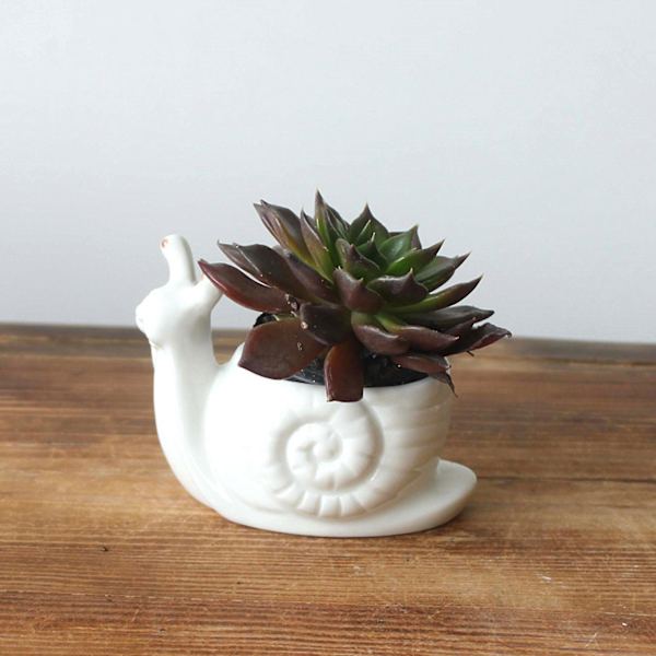 Söta djurformade keramiska blomkrukor Suckulent planter Kaktusväxt Blomkrukor（Boskap）