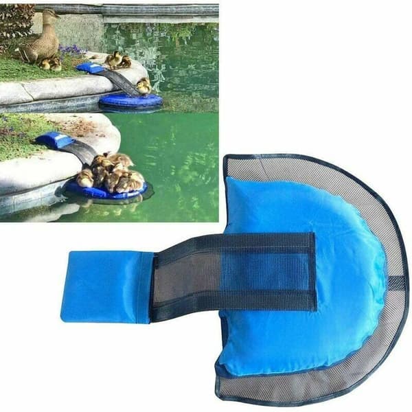 Pool-djurfällare, simstege, utomhuspool-djurfällare, groda-fågel-djurfällare