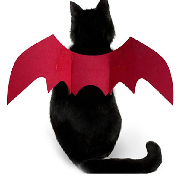 Katt och hund kreativ festival rolig kostym Halloween husdjur fladdermusvingar