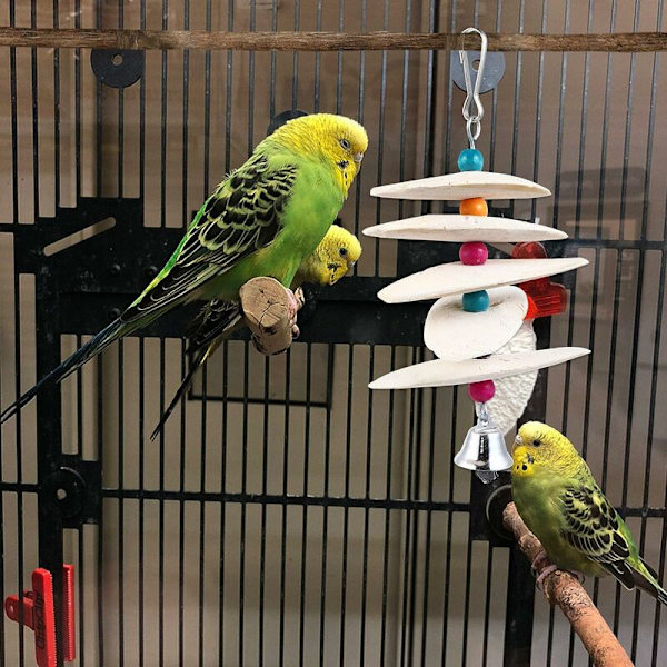 Budgie Papegoja Cuttlebone Bowl Tuggleksaker Cuttlebone Näbb Knot Sten Hängande Bur Bell Leksak Kalcium Fågel Seed.