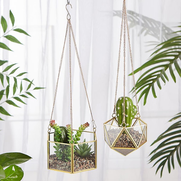 Modern Hängande Glas Terrarium Geometrisk Hexagonformad Sukkulenter Luftväxt Hållare Behållare Väggplanter Blomkruka