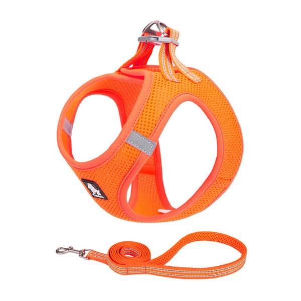 Hunddragrep sjö, orange husdjursutrustning L