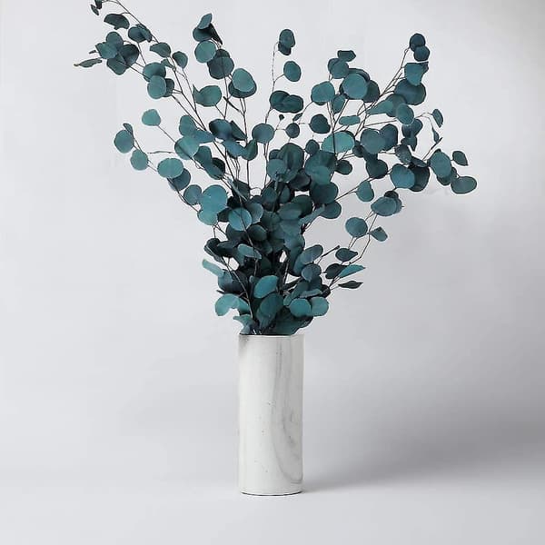 Artificiell Silver Dollar Eucalyptus Stam Blad Grenar, Äppelblad