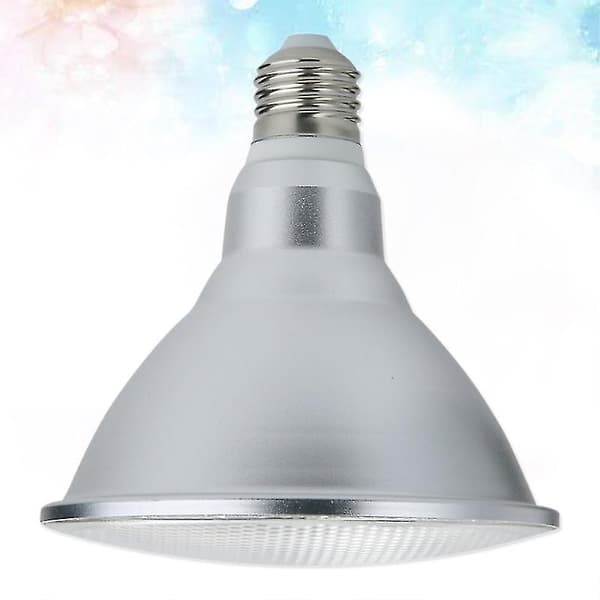 1 st Spotlampa Glödlampa