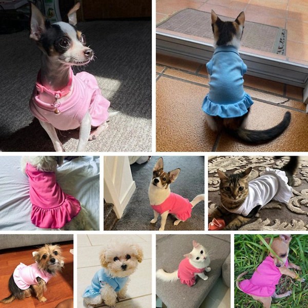Vår och sommar Hundkläder Liten hundkjol Enfärgad hundkjol Mode Enkel plisserad Heml