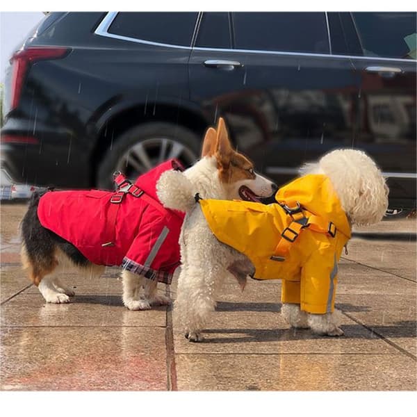 Regnjakke til hunde med hætte og sele, med reflekterende striber, til små og mellemstore hunde.