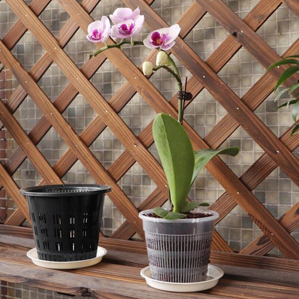 11cm/14cm Rotkontroll Transparent Blomkruka Phalaenopsis Orkidé Nötkreatur Växter med Stomatal Blomkruka Heminredning 1 Set (2st/set 11cm)