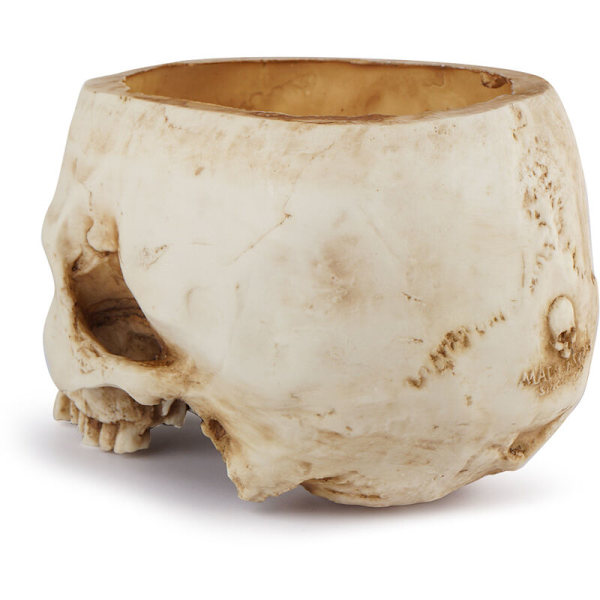 Resin Skull Blomsterpotte Skull Vase Resin Head Model til Halloween fest, boligdekorationer