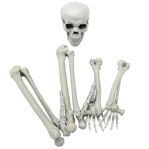 1 set Simulerat Skelett För Halloween Dekorationer