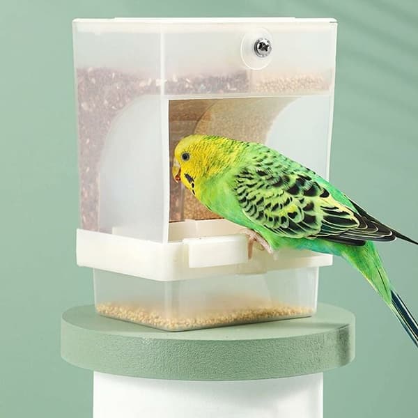 Automatisk fuglefoder, kæledyrsfoder, transparent stor kapacitet papegøje automatisk foderautomat bur tilbehør til parakit, kanariefugl, cockatiel, finke, parakit