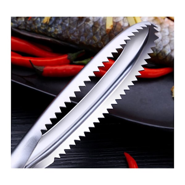 Fischscaler Rostfritt stål fiskfjällsskrapa