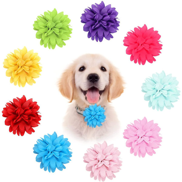 10 st 4 tums hundhalsband Blomma set Justerbart husdjur stor blomma fluga för grooming tillbehör (slumpmässiga färger)