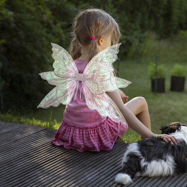 Bronzing Butterfly Fairy WingsSilver