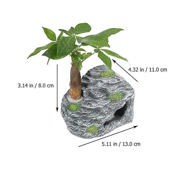 1 set Akvariumlandskap